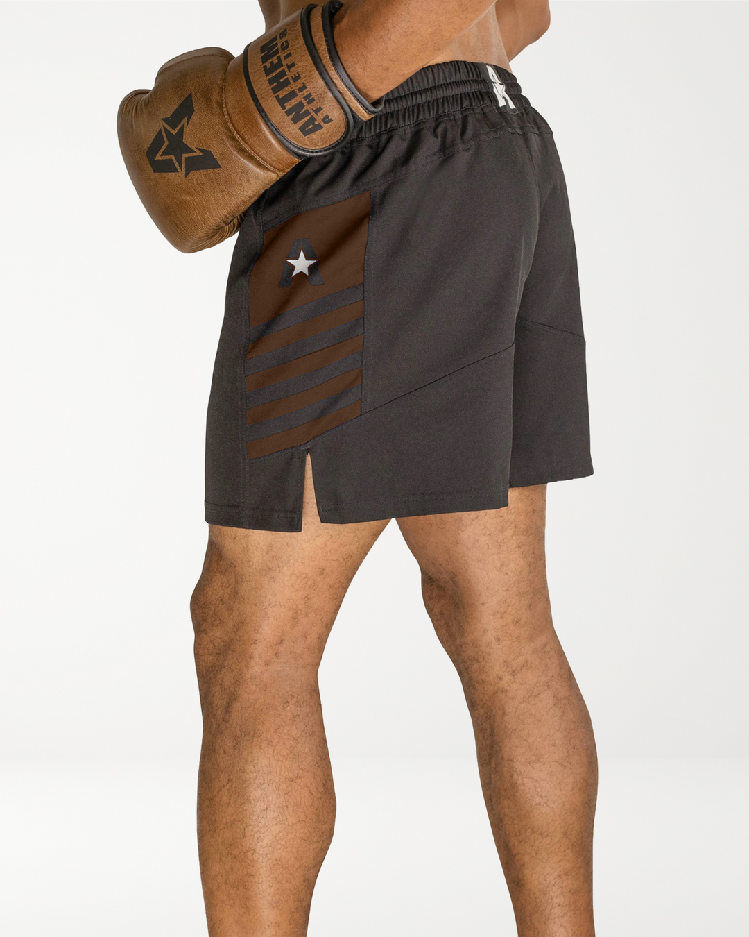 Reignite 5" MMA Shorts