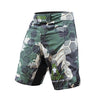 Resilience Fight Shorts